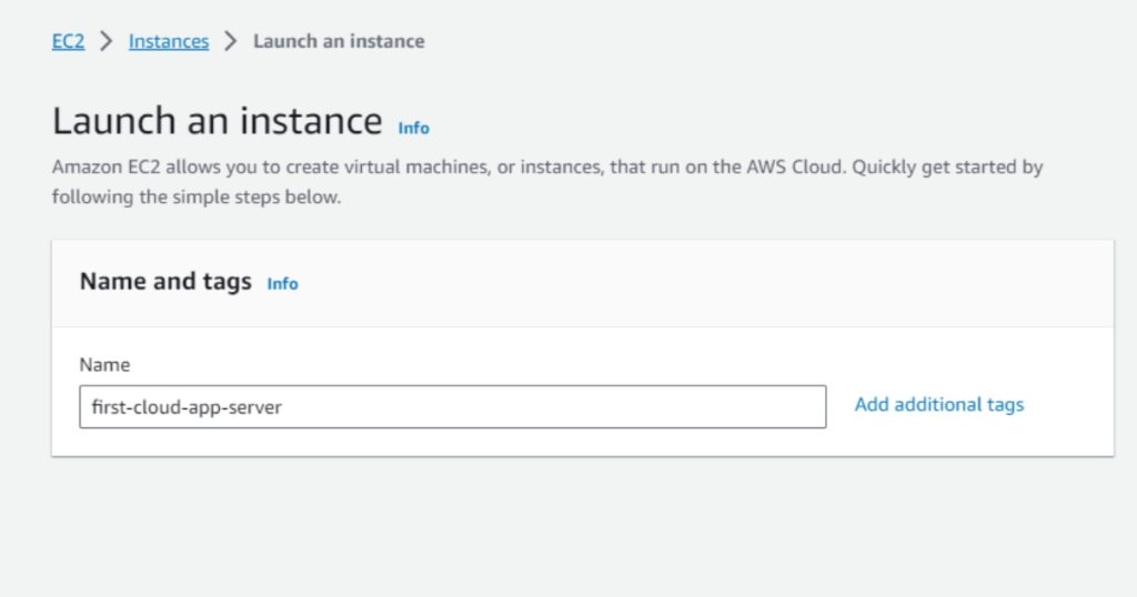 Bạn nên đặt một cái tên dễ nhớ cho instance của mình ở ô Name