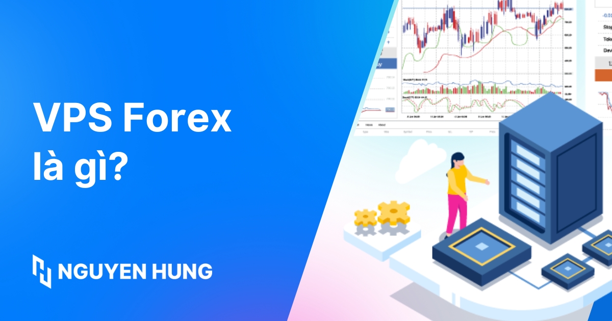 VPS Forex là gì? Tiêu chí đánh giá và lựa chọn VPS Forex
