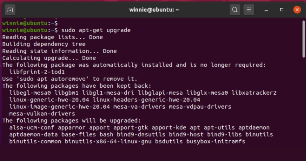 Cửa sổ terminal Linux đang chạy lệnh sudo apt upgrade
