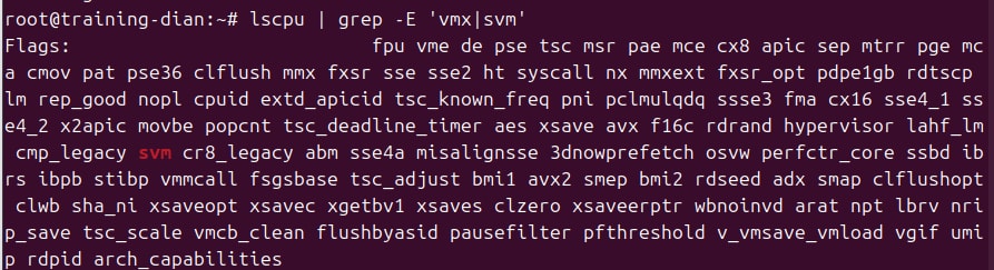 Kiểm tra hỗ trợ ảo hóa lồng nhau