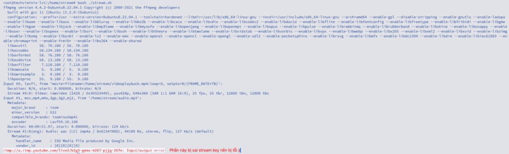 Hình minh họa kết quả khi chạy lệnh bash ./stream.sh để khởi động phiên livestream bằng FFmpeg