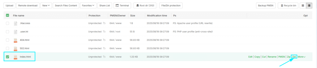 Bạn đánh dấu vào ô bên cạnh file index.html rồi chọn nút Del