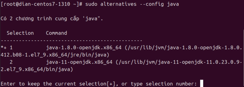 Nhập số tương ứng với phiên bản bạn muốn đặt làm mặc định và nhấn Enter