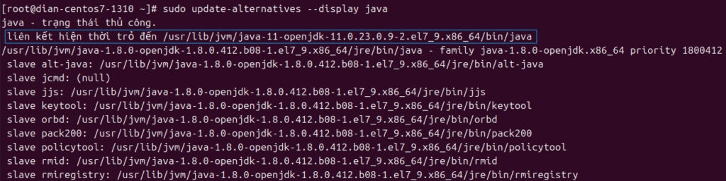 Tìm dòng link currently points to để xác định đường dẫn gốc của JDK, bạn chỉ cần lấy phần đường dẫn thư mục, bỏ đi phần /bin/java ở cuối.