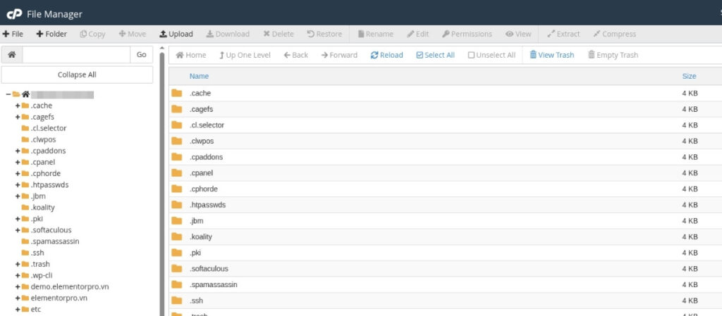 Bạn có thể chỉnh sửa code hoặc nội dung của file trực tiếp trên máy chủ