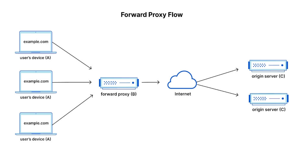Forward Proxy (Nguồn: Internet)