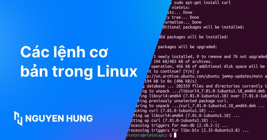 Tổng hợp 40+ câu lệnh cơ bản trong Linux bạn cần biết [year]