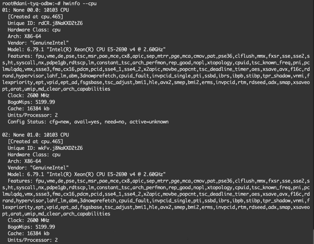 Sử dụng hwinfo để có báo cáo toàn diện và chi tiết