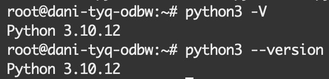 Kiểm tra phiên bản Python
