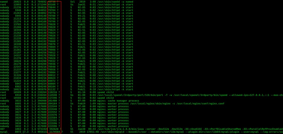 Kết quả sau khi chạy lệnh ps aux --sort=-rss