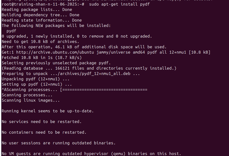 Cài đặt pydf trên các bản phân phối khác