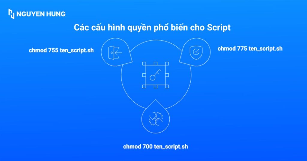 Các cấu hình quyền phổ biến cho Script