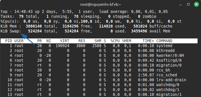 Thông tin về swap được hiển thị ở đầu màn hình