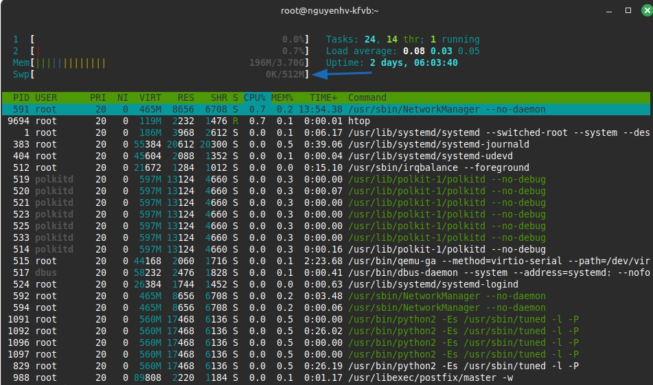 Kết quả hiển thị trực quan của lệnh htop