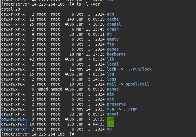 Kết quả hiển thị sau khi chạy lệnh ls -l /