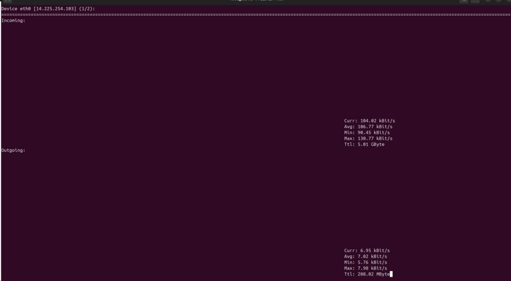Kết quả hiển thị khi chạy lệnh nload