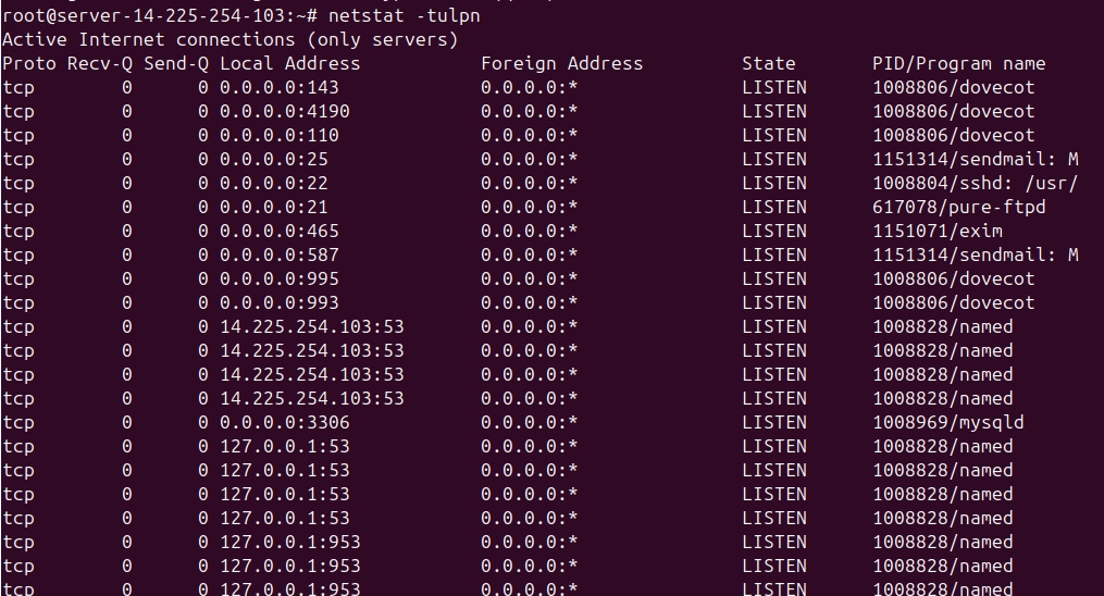 Kết quả hiển thị sau khi chạy lệnh Netstat