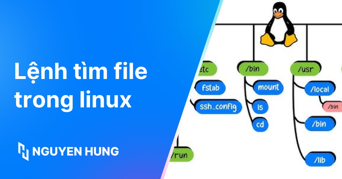Các lệnh tìm file trong Linux mới chỉnh sửa nhanh chóng