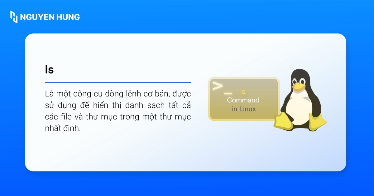 Cách sử dụng lệnh ls Linux chi tiết cho người mới bắt đầu