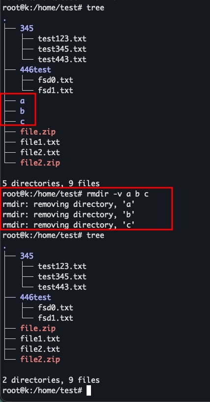 In chi tiết quá trình xóa với -v