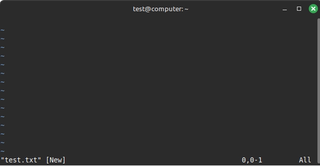 file mới tên test.txt sẽ được mở trong vi