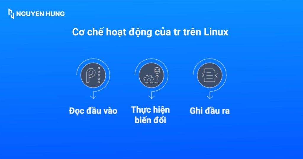 Cơ chế hoạt động của tr trên Linux