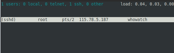 Bạn gõ whowatch vào terminal để khởi động chương trình