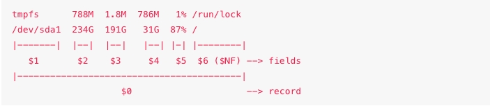 Ví dụ về cách tham chiếu bản ghi và trường