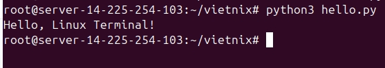 Bạn dùng python interpreter để chạy file Python