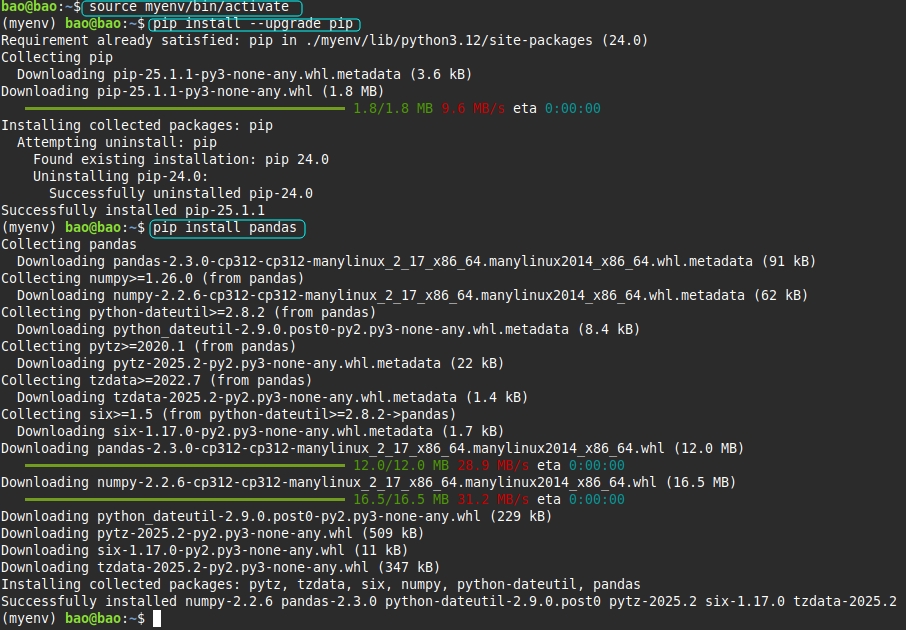 Sử dụng môi trường ảo