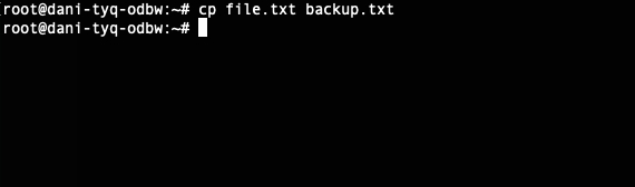 Sao chép file cơ bản
