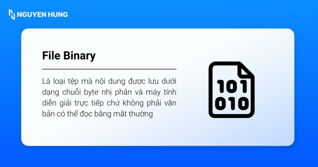 File Binary (hay file nhị phân) là loại tệp mà nội dung được lưu dưới dạng chuỗi byte nhị phân