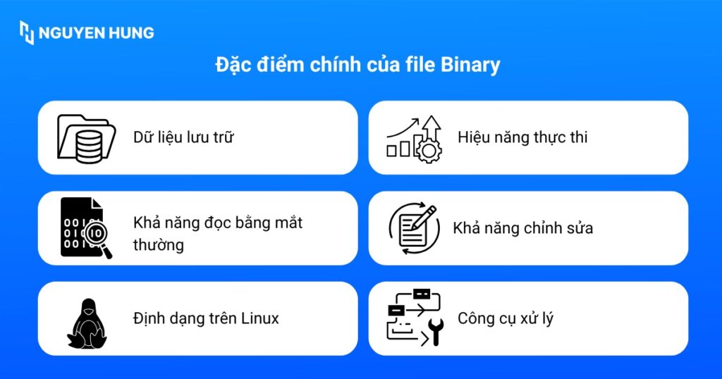 Đặc điểm chính của file Binary