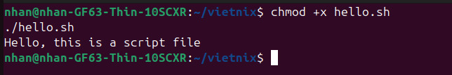 Sau đó, bạn lưu thành file hello.sh và cấp quyền thực thi