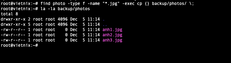 Dùng find để di chuyển/copy file theo pattern