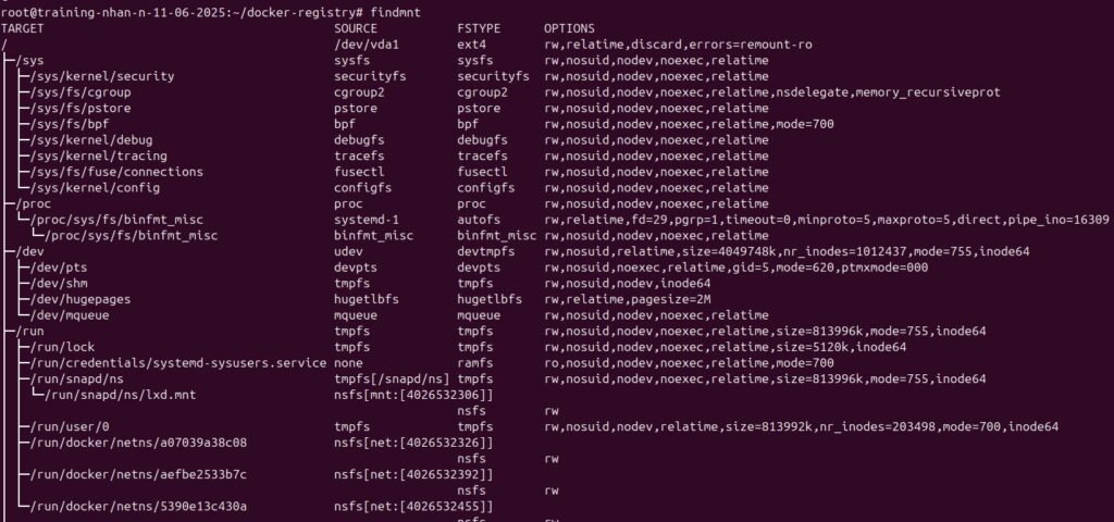 Hiển thị toàn bộ hệ thống file đang hoạt động
