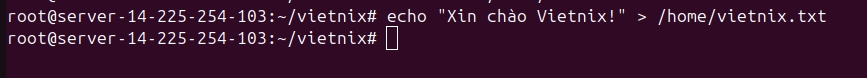 File gốc là /home/vietnix.txt chứa một dòng văn bản