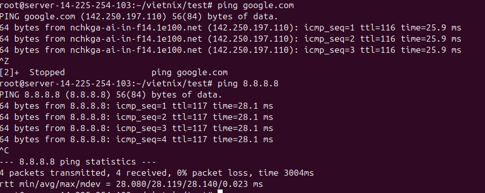 Kết quả sau khi thực thi lệnh ping