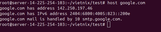 Lệnh host cung cấp thông tin DNS