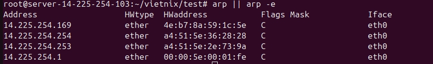 Lệnh arp hiển thị bảng ánh xạ MAC/IP