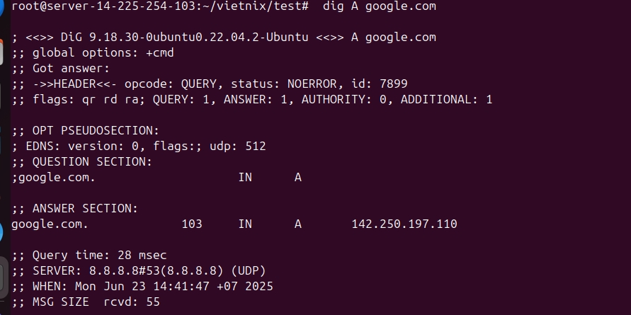 Tra cứu bản ghi DNS nâng cao bằng lệnh dig