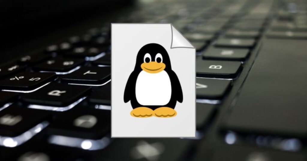 Trong Linux, việc dùng đường dẫn đầy đủ giúp xác định chính xác vị trí file hoặc thư mục