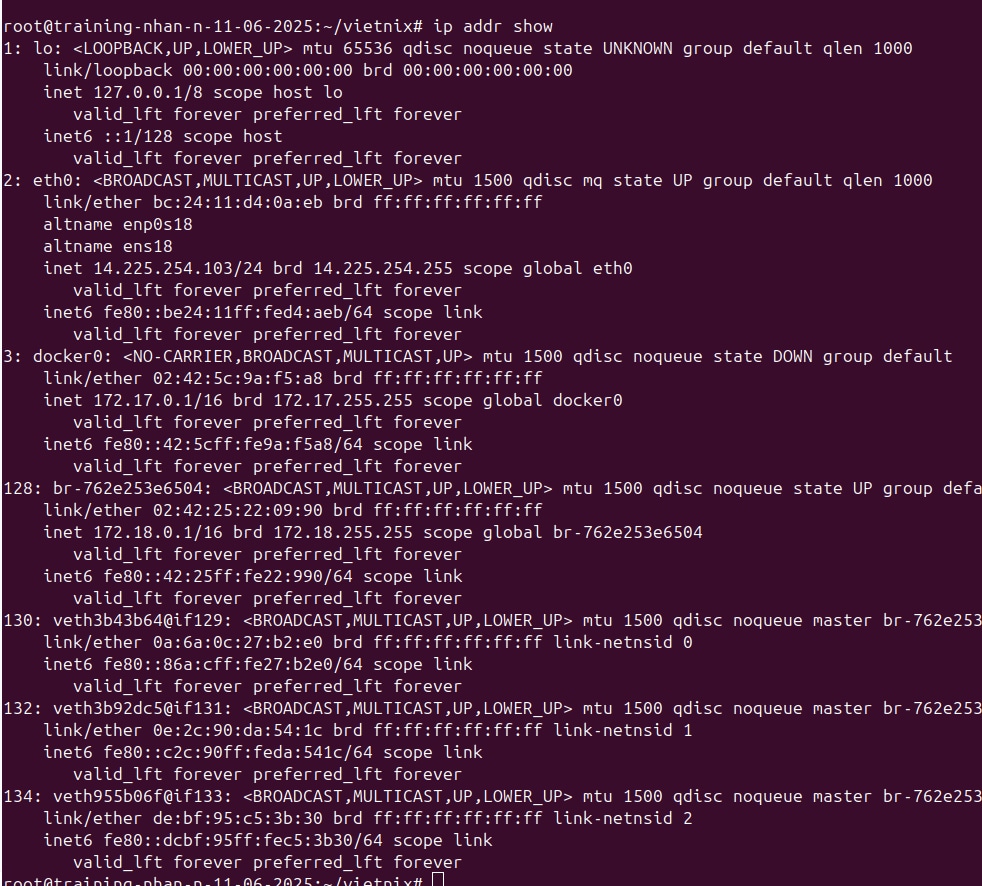 lệnh ip addr show hiển thị nhiều thông tin 