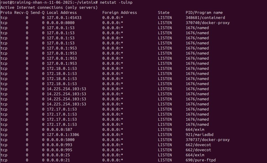 Kết quả hiển thị lệnh netstat