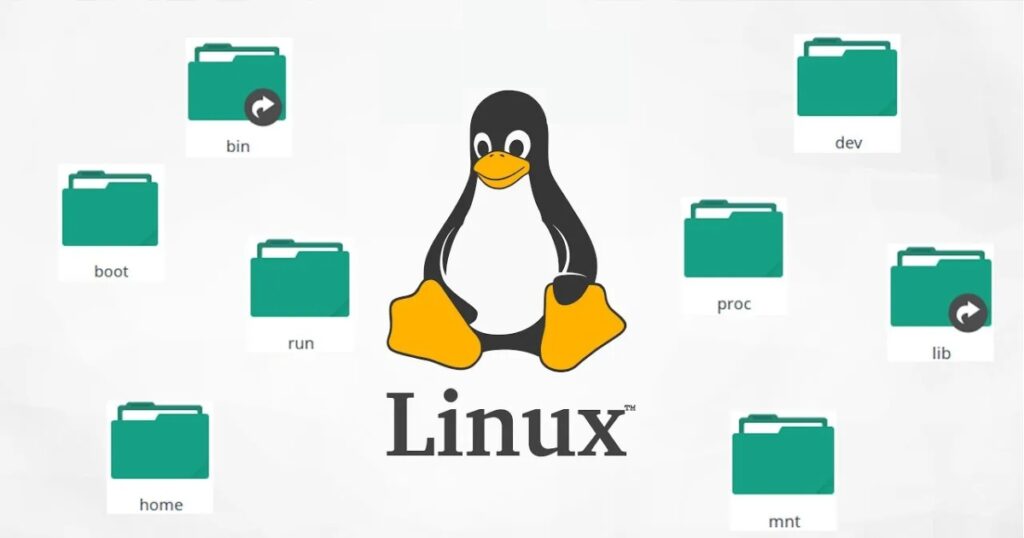 Bạn cần lưu ý khi xử lý file trước khi sử dụng lệnh rm