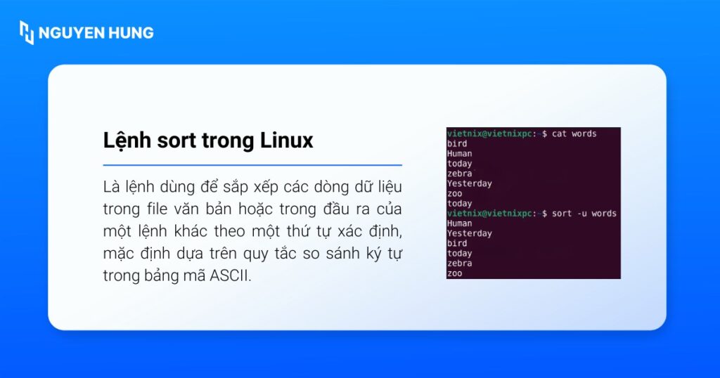 Lệnh sort trong Linux là lệnh dùng để sắp xếp các dòng dữ liệu trong file văn bản
