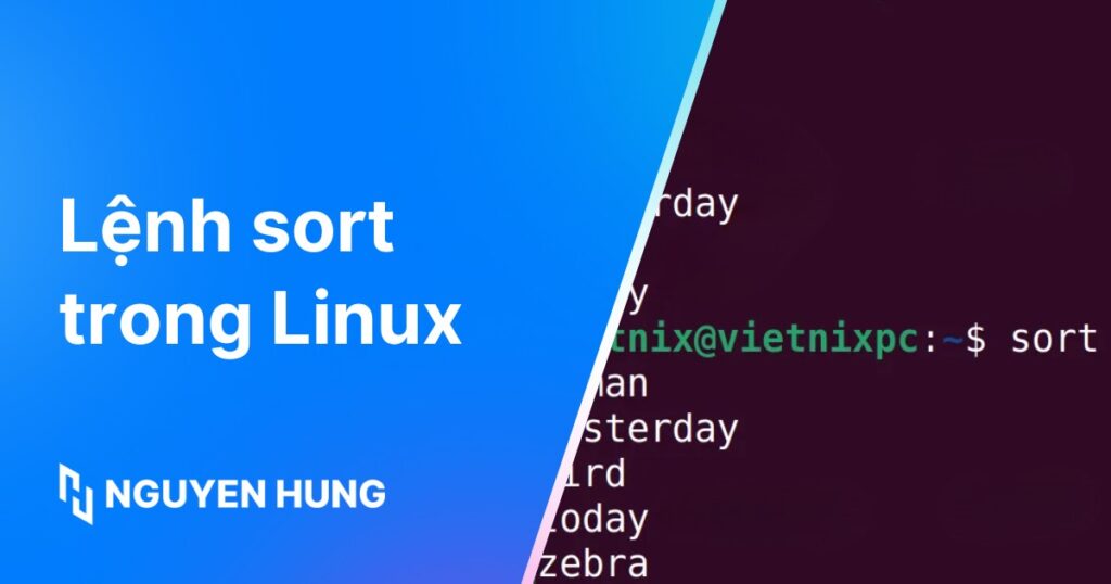 Cách sử dụng lệnh sort trong Linux kèm 16 ví dụ thực tế
