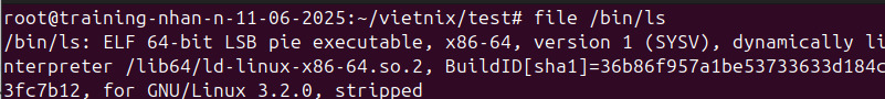 Bạn có thể kiểm tra file thực thi với file /bin/ls
