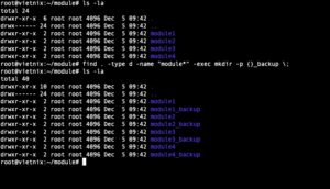 Cách sử dụng lệnh mkdir trong Linux để tạo thư mục nhanh chóng
