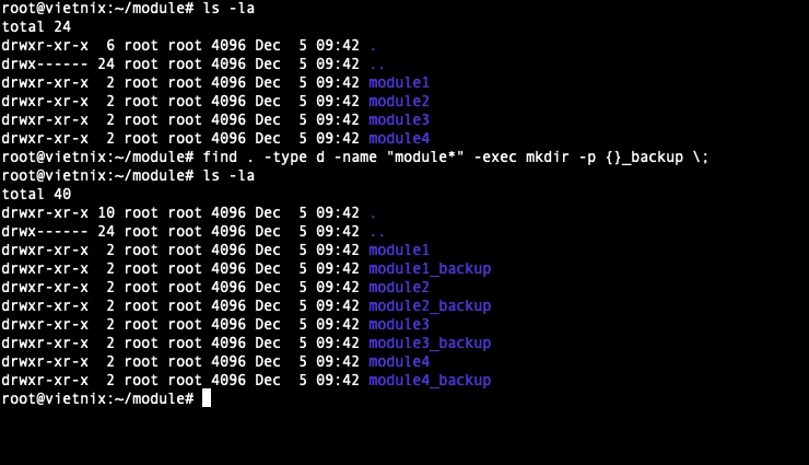 Tìm tất cả các thư mục có tên bắt đầu bằng module